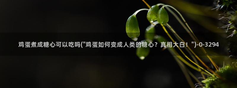  糖心vlog视频免费看：鸡蛋煮成糖心可以吃吗(\