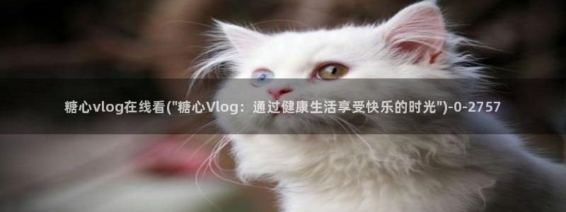 糖心vlog网