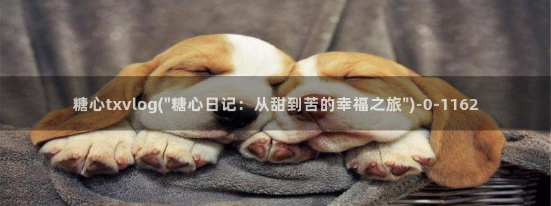  糖心小桃酱vlog：糖心txvlog(\