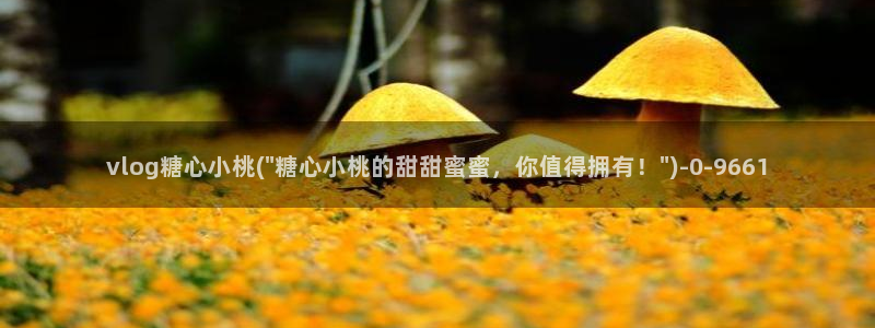  糖心vlog视频在线播放观看：vlog糖心小桃(\