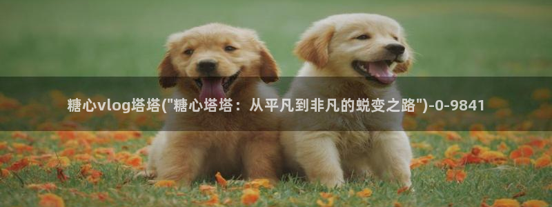  糖心vlog苹果官网：糖心vlog塔塔(\