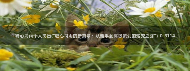  糖心vlog视频免费在线观看：糖心司雨个人简历(\