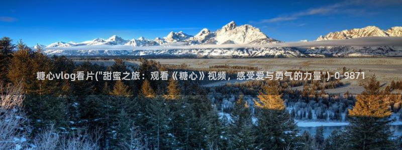 糖心vlog国产入口