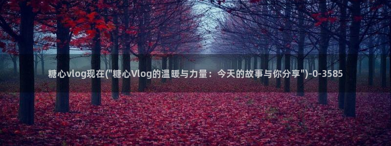 心糖vlog记录