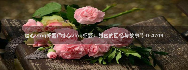 糖心vlog记录